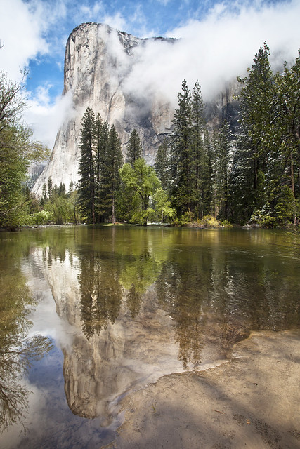 Reflecting on El Cap -  Yosemite National Park