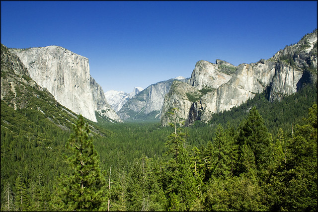 USA - Yosemite National Park - View on Yosemite Valley