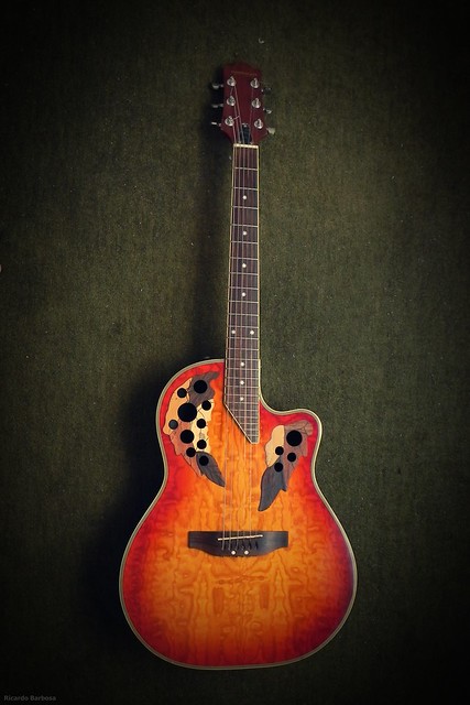 Freeman Guitar