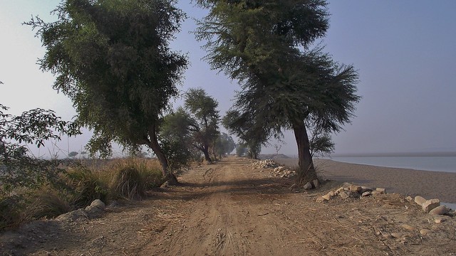 Taunsa Barrage in Muzaffargarh, Punjab, Pakistan - January 2011