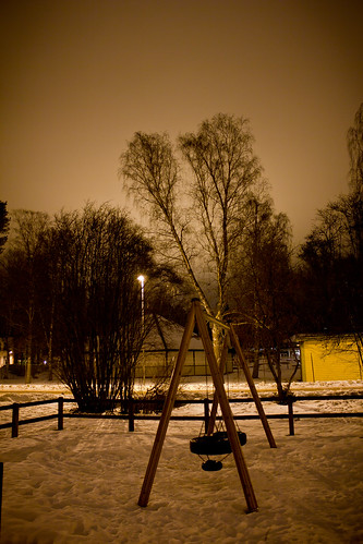 trees playground canon nightshot sweden sverige träd tranås joakim johansson lekplats 2011 550d nattbild alendri