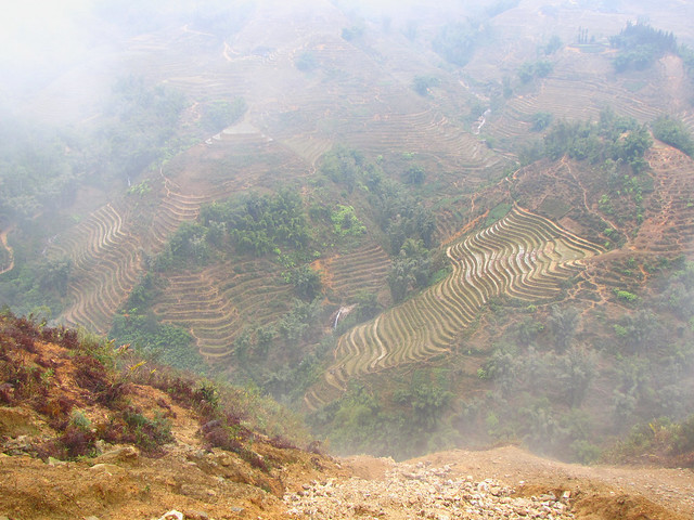 Trek-Rice Fields-SaPa-Vietnam