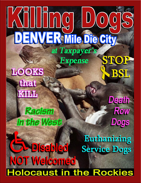 Denver, CO Breed Specific Legislation Magazine Cover protraying the truth about BSL Laws, Killing Innocent Dogs out of Discrimination