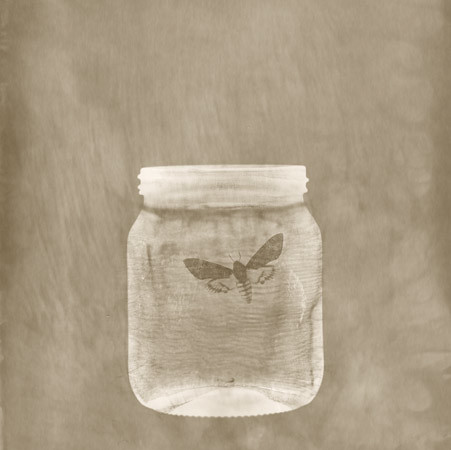 trapped | by Jonathan Stead.