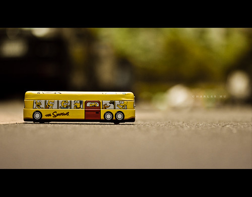 55.365 - School Bus by Charles Wonderland*