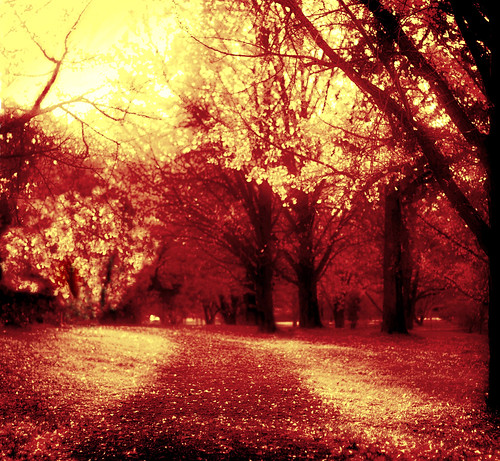 A Thousand Splendid Autumns by Kala_M
