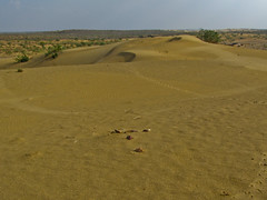 Jaisalmer 097 - Desert Camel Safari - Sand dunes