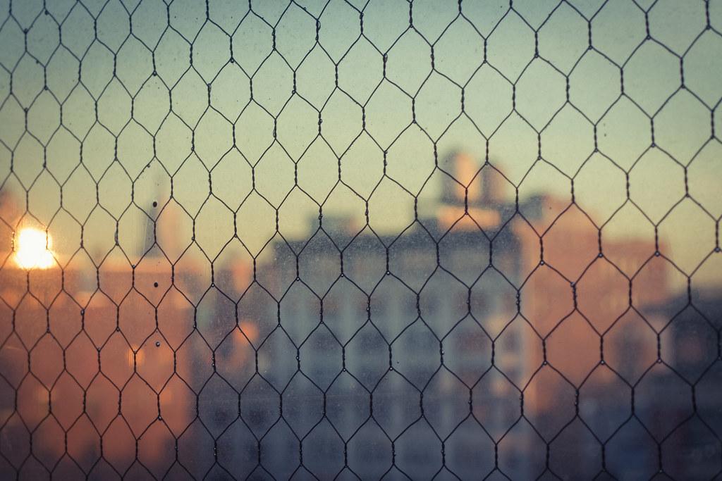 Sunset view through a condensed wire-mesh window looking toward city buildings and the setting sun.