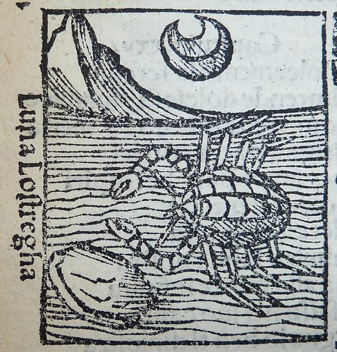 Woodcut of a crab | by Provenance Online Project
