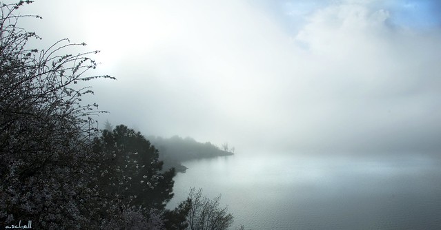 misty wonderland
