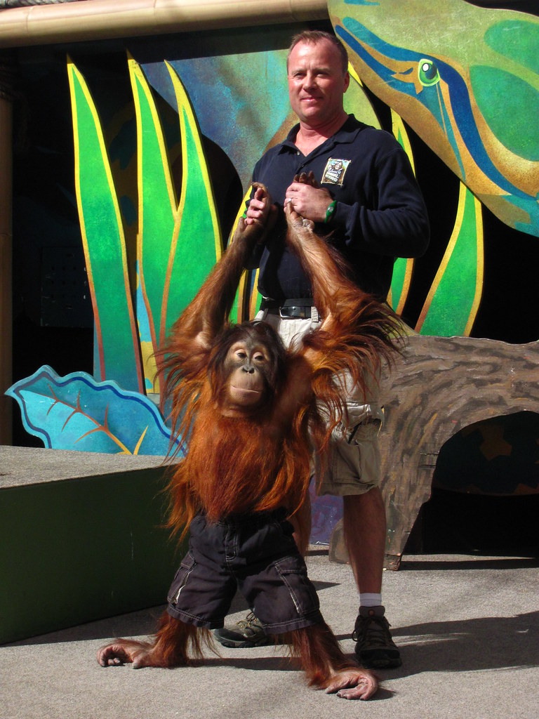 Universal's Animal Actors Show at Universal Studios | Flickr