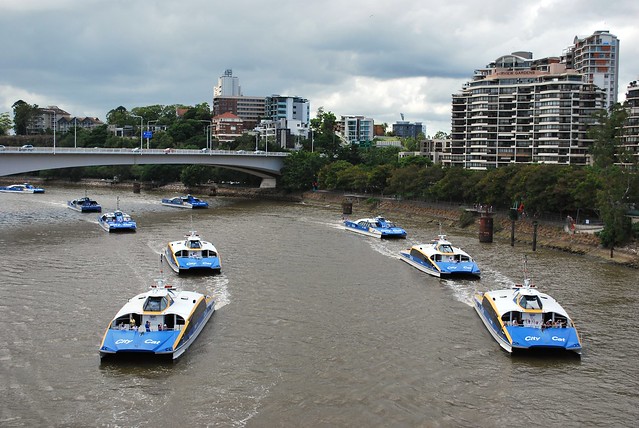CityCat Flotilla, Brisbane