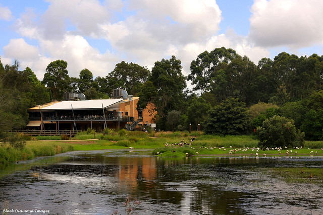 Hunter Wetland Centre Cafe and Administration Offices
