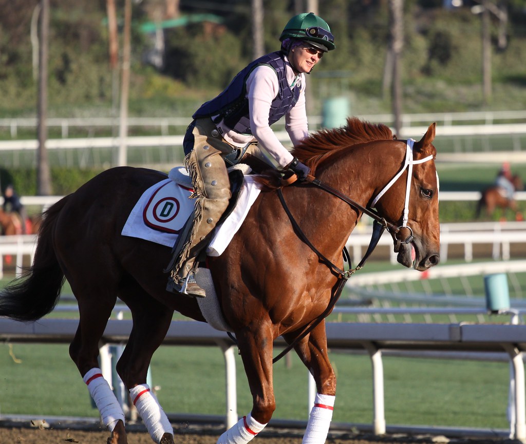 Exercise rider | Jeanine Williams | Flickr