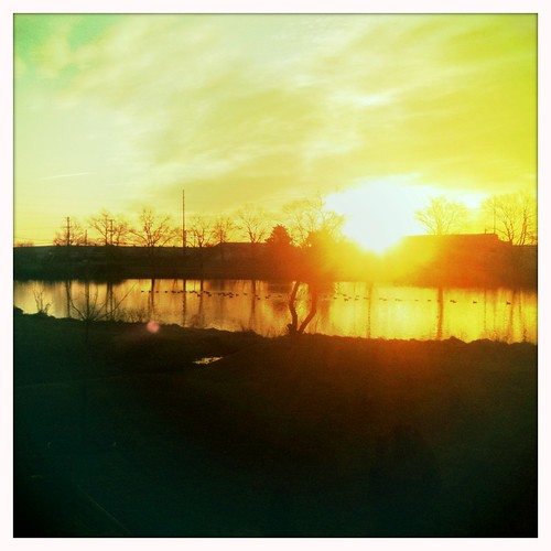 trees sky orange sun reflection clouds sunrise geese pond ducks iphone iphonography hipstamatic