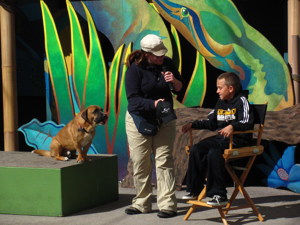 Universal's Animal Actors Show at Universal Studios | Flickr