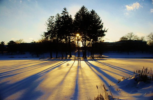 _DSC0028 (2) by rwanne, christmas winter sun snow cold tree ice colors leaves photoshop lights frozen branch