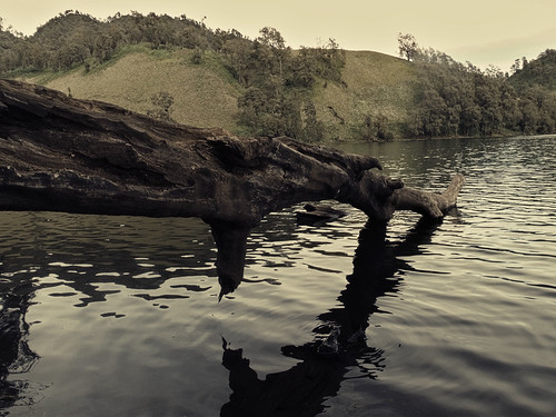 Flickr Ranu Serenity | ranu kumbolo lake, bromo-tengger-semeru national … | Flickr
