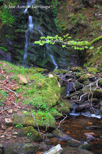 Parque natural de Gorbeia #DePaseoConLarri #Flickr 8046