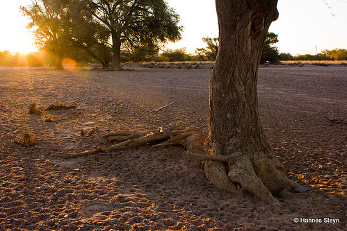 africa trip travel trees sunset red summer camp vacation sky plants sun nature canon fun flora scenery dusk namibia damaraland 550d abahuab hannessteyn canonefs1855mmf3556isusm canon550d eosrebelt2i abahuabrestcamp