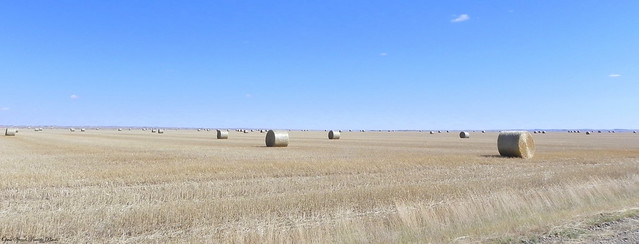 Bales on the High Plains of Eastern Montana
