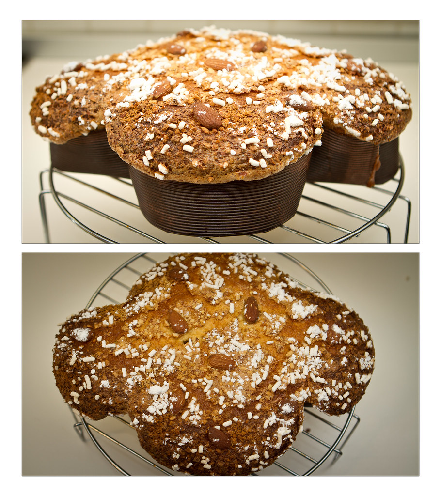 Chocolate Almond Panettone