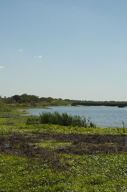 anaveral Marshes Conservation Area