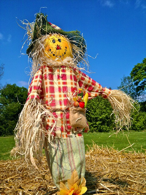 Epouvantail - Scarecrow - a photo on Flickriver