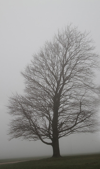 In A Fog