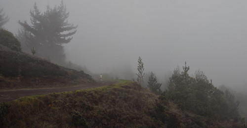 Fog on the island of Maui | by Craig T....