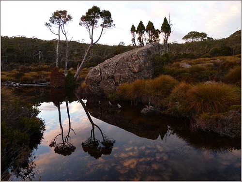 lake water sunrise australia tasmania moor tarn mtfieldnationalpark buttongrass pencilpines lakedobson