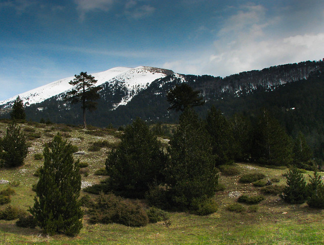 Albanian side of Koritniku Mountain