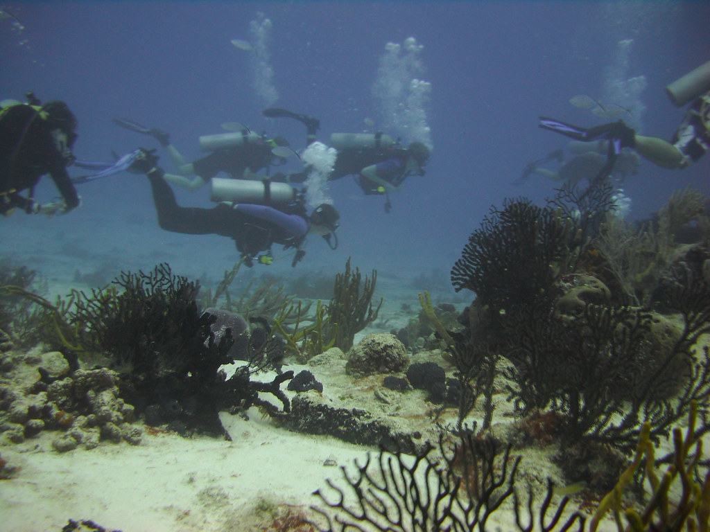 Rainbow Reef