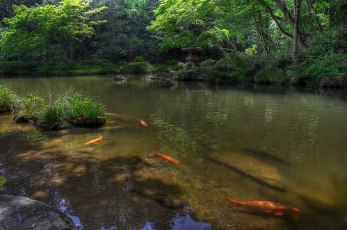 park japan temple spring chiba narita