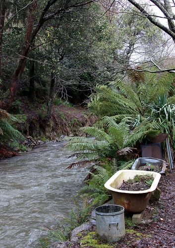 victoria australia woodspoint goulburnriver bath fern