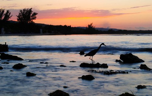 sunset sea beach jamaica
