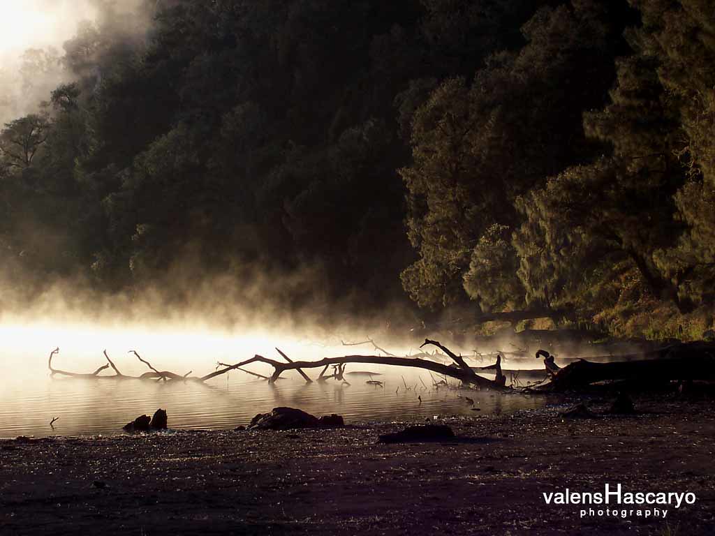 Flickr Ranu Ranu Kumbolo in the morning | Valens Hascaryo | Flickr