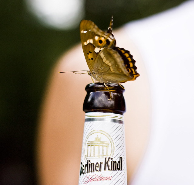 berliner kindl meets butterfly