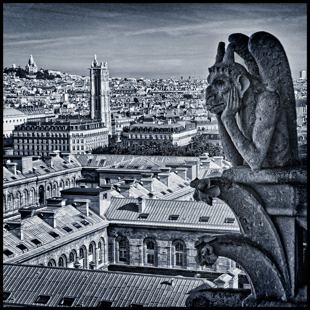 France - Paris - Notre Dame Grotesque sq blue