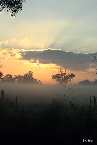 IMG_1609 by Bob Tyler, Pictures of sunrise ove adjacent farmlandsunrise australia victoria wattlebank