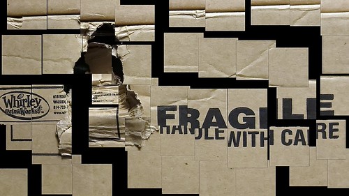 Fragility Shattered | by Mark Turnauckas