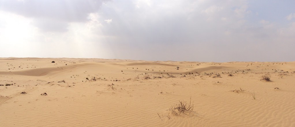 Desert Landscape, From CreativeCommonsPhoto