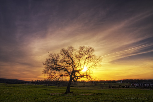 sunset sun tree virginia flickr hdr blacksburg photomatix canoneosrebelxsi bbsinghphotography