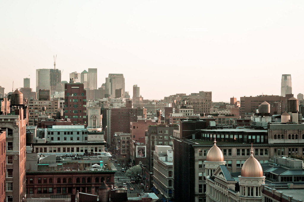 Manhattan rooftops featuring twin copper dome cupolas, water towers, and distant skyscrapers.