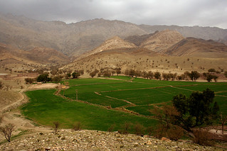 Agriculture in Afghanistan | Wheat fields in the Surkhrood d… | Flickr