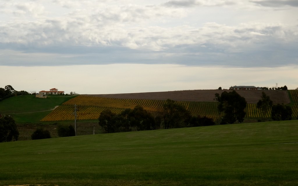 The rolling hills of.............Lilydale!!