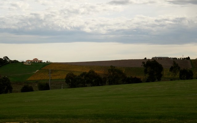 The rolling hills of.............Lilydale!!