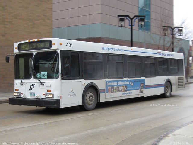 Winnipeg Transit 431