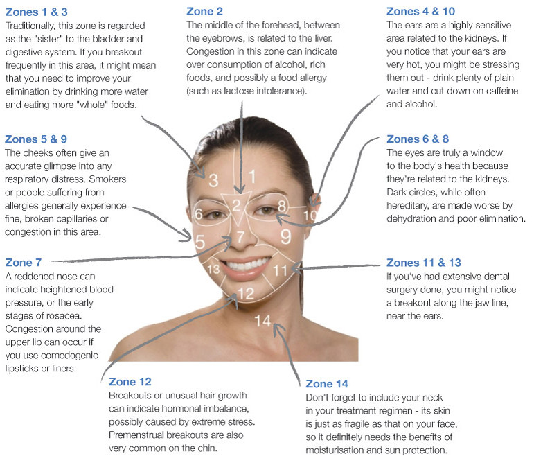 Chinese Medicine Face Chart