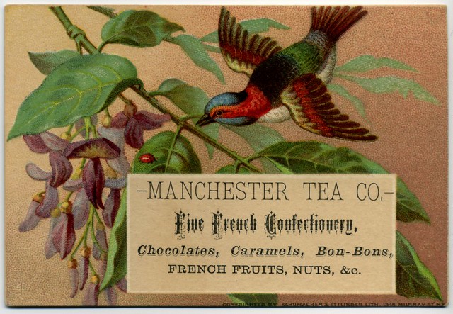 Manchester Tea Co. Fine French Confectionery